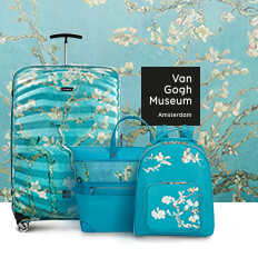 samsonite van gogh luggage